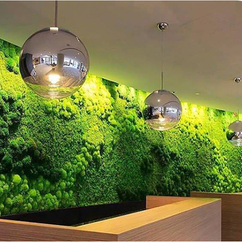 石家庄植物墙养护绿化公司