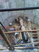 深州市水下焊接施工工程公司