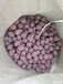 滁州陶粒有哪些的特点在生活中的作用有哪些