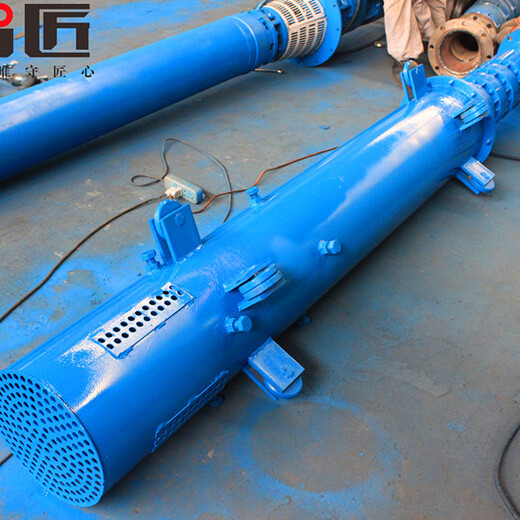 6KV潜水泵型号--天津智匠泵业