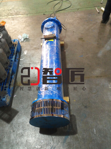 海南高扬程潜水泵品牌--天津智匠泵业