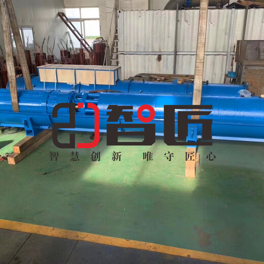 山西高扬程潜水泵品牌--天津智匠泵业