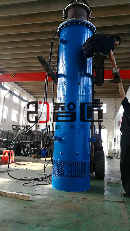 湖南6KV潜水泵资讯--天津智匠泵业