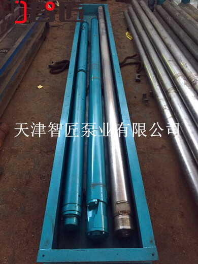 热水电潜泵公司--天津智匠泵业