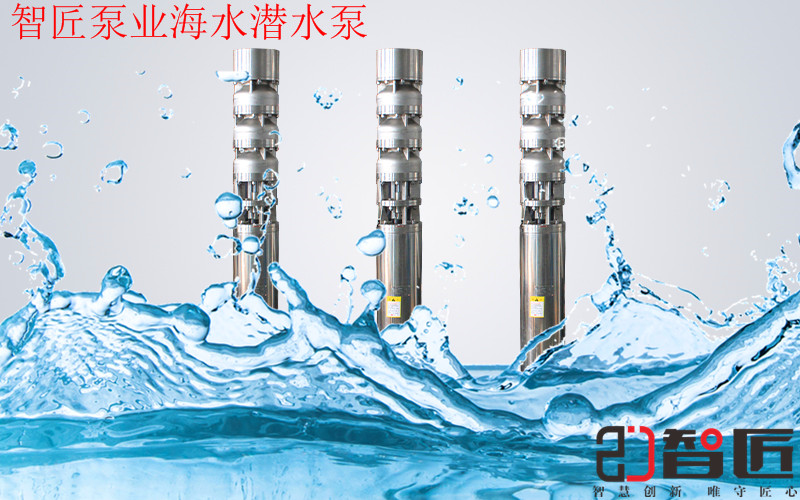 变频潜水泵品质--天津智匠泵业