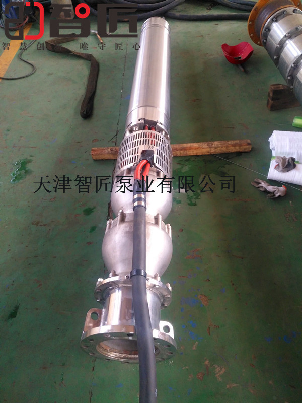 变频潜水泵品质--天津智匠泵业