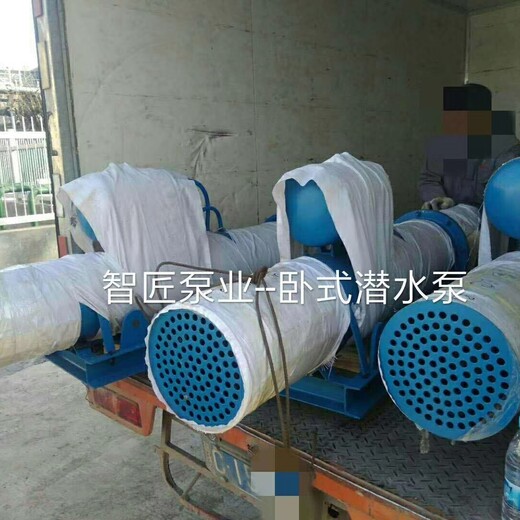 三门峡卧式潜水泵厂家--天津智匠泵业