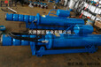 临沧倾斜式潜水泵卓越品质--天津智匠泵业