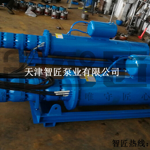 松江浮筒式潜水泵品牌--天津智匠泵业