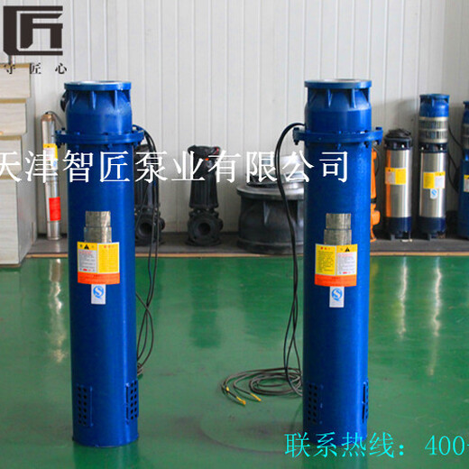 长治倒立式潜水泵型号解释--天津智匠泵业