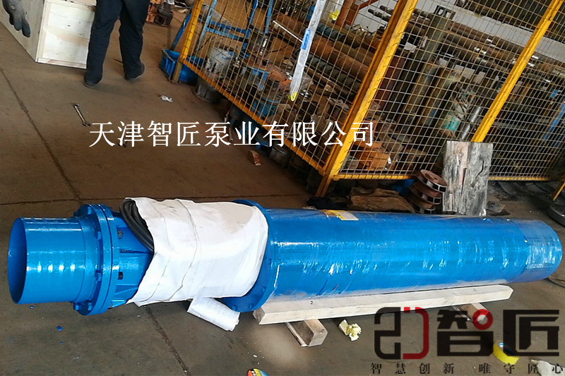 潜水喷泉泵提供曲线图天津智匠泵业现货供应