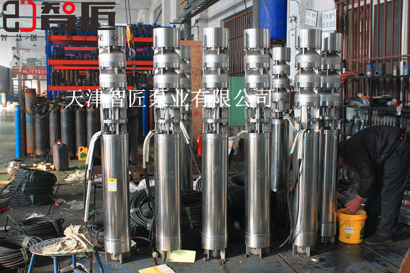 青海立式潜水泵型号--天津智匠泵业