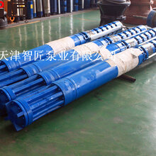 广东立式潜水泵型号价格--天津智匠泵业图片