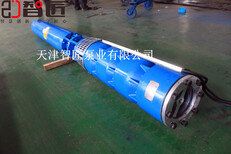 河南井用多级泵型号价格--天津智匠泵业图片5