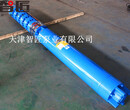 广西QJ井用电泵优质品牌--天津智匠泵业图片