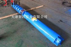 广西多级潜水泵厂家--天津智匠泵业图片1
