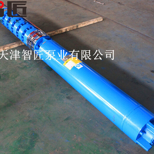 上海深井潜水泵外形图索取--天津智匠泵业