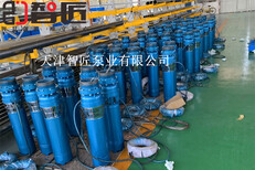 福建变频潜水泵外形图索取--天津智匠泵业图片1