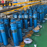 四川立式潛水泵型號解釋--天津智匠泵業