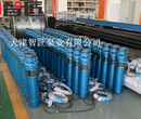 北京高扬程潜水泵外形图索取--天津智匠泵业图片