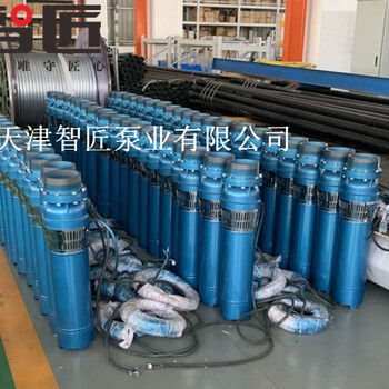 青海深井泵安装示意图--天津智匠泵业
