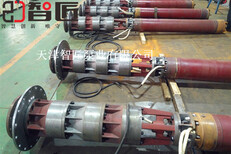 广西多级潜水泵厂家--天津智匠泵业图片4