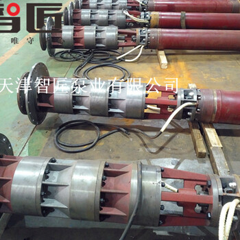 台湾多级潜水泵品牌--天津智匠泵业