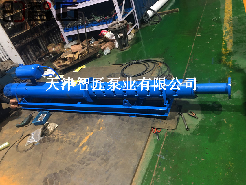 葫芦岛浮筒式潜水泵提供选型--天津智匠泵业