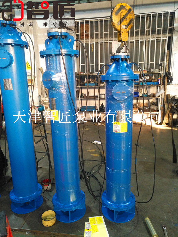绍兴卧式潜水泵优惠--天津智匠泵业