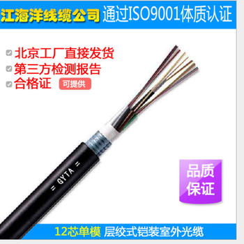 单模室外光缆gyta光缆12芯层绞式架空管道铠装光纤低烟无卤防腐