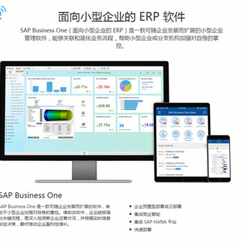 sapbusinessone，广州SAP，深圳SAP，东莞SAP，sap系统，sap解决方案