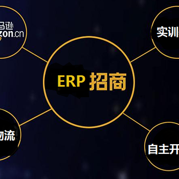 软件开发亚马逊ERP系统