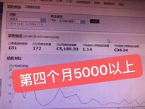 湖北武漢亞馬遜無貨源ERP系統，月入百萬不是夢圖片0