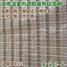 温室内外遮阳系统铝箔网65%内遮阳幕布防晒网内遮阳系统幕布图片