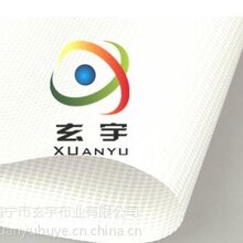 生产供应PVC带底膜喷绘网,白色网格布图片