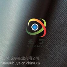 现货供应0.55厚680克PVC涂层夹网布,充气膜布,拳击擂台包边布图片