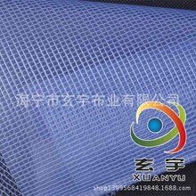 现货供应带蓝光透明网格布透明夹网布透明格子布图片