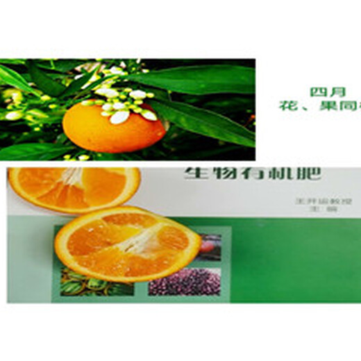 贵州银丰园艺长叶香橙种植方法