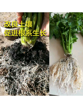 福州丰田宝生物有机肥价格