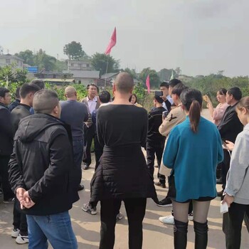 泰州長葉香橙基地