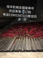 厂家生产玻璃化工机械玻璃窑炉机械退火炉网带链条,输送机械图片