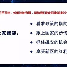 龙门-白沟新开楼盘价格查询图片