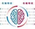 全脑开发-国际全脑训练中心快速记忆右脑开发全脑教育..广州英卓思.