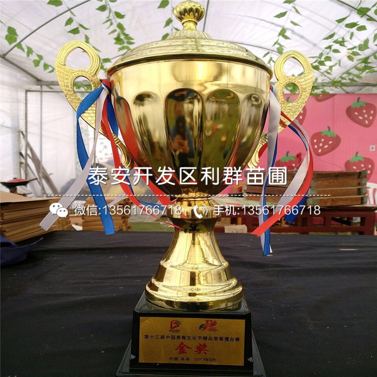 巧克力草莓苗價(jià)格行情