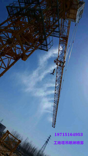 滁州地区料厂建筑工地塔吊喷淋系统降尘厂家图片6