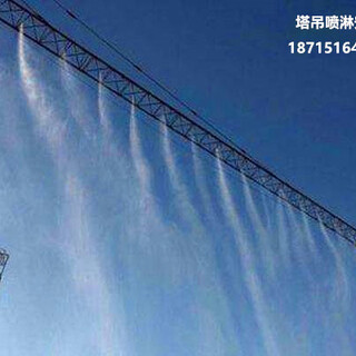 滁州地区料厂建筑工地塔吊喷淋系统降尘厂家图片4