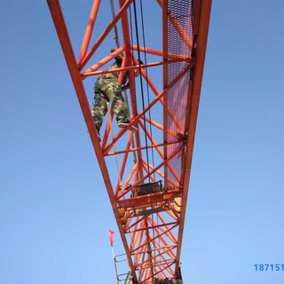 滁州地区料厂建筑工地塔吊喷淋系统降尘厂家图片2