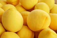 炎陵黄桃能让你品尝到什么是真正的“桃子味”。图片1