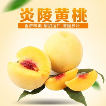 炎陵黄桃又称高山黄桃，以香、脆、甜而于世
