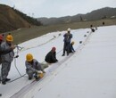 安阳不透水土工布厂家/价格图片